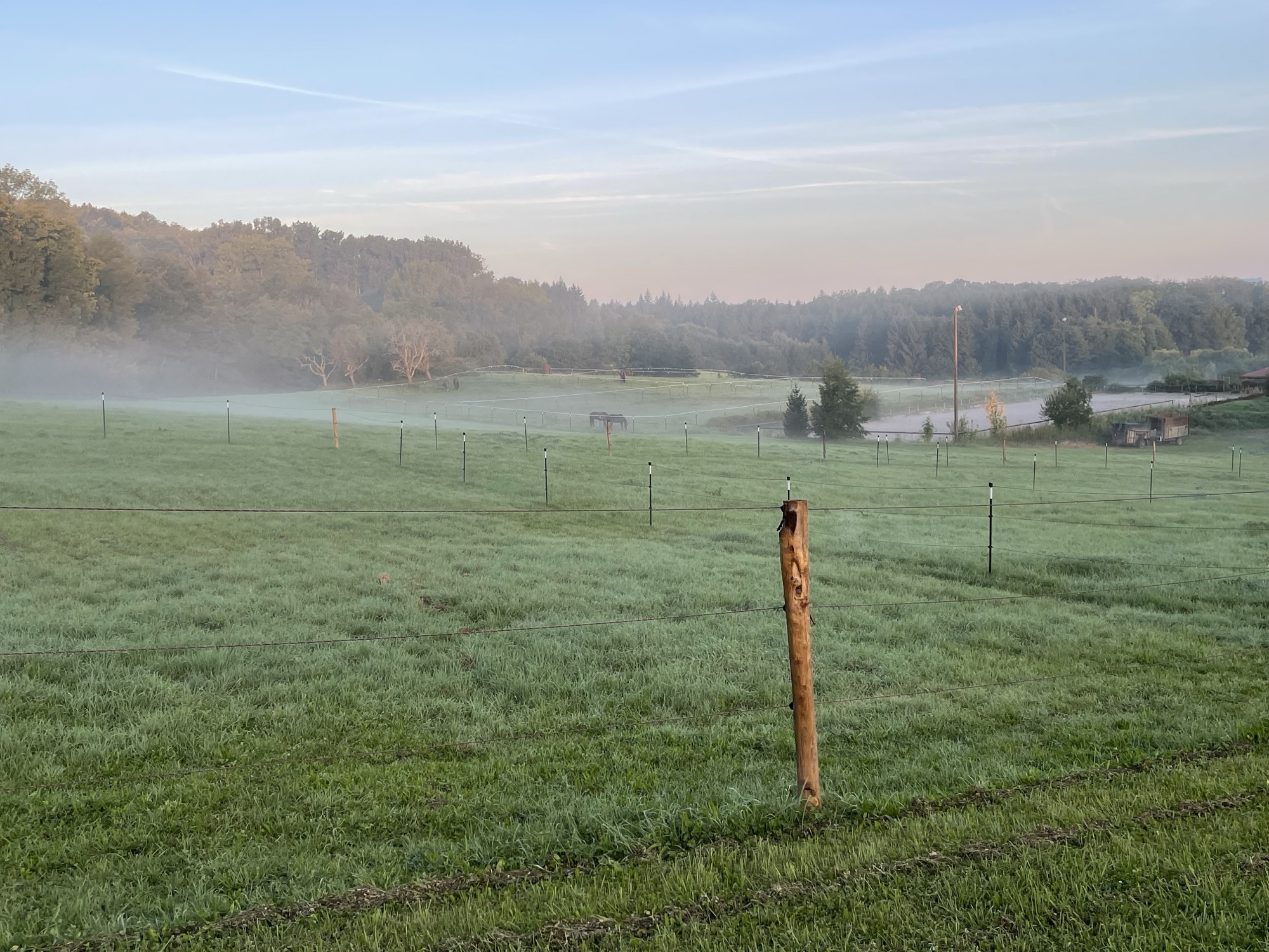 Koppeln des Pferdehof Waldeck im Morgennebel